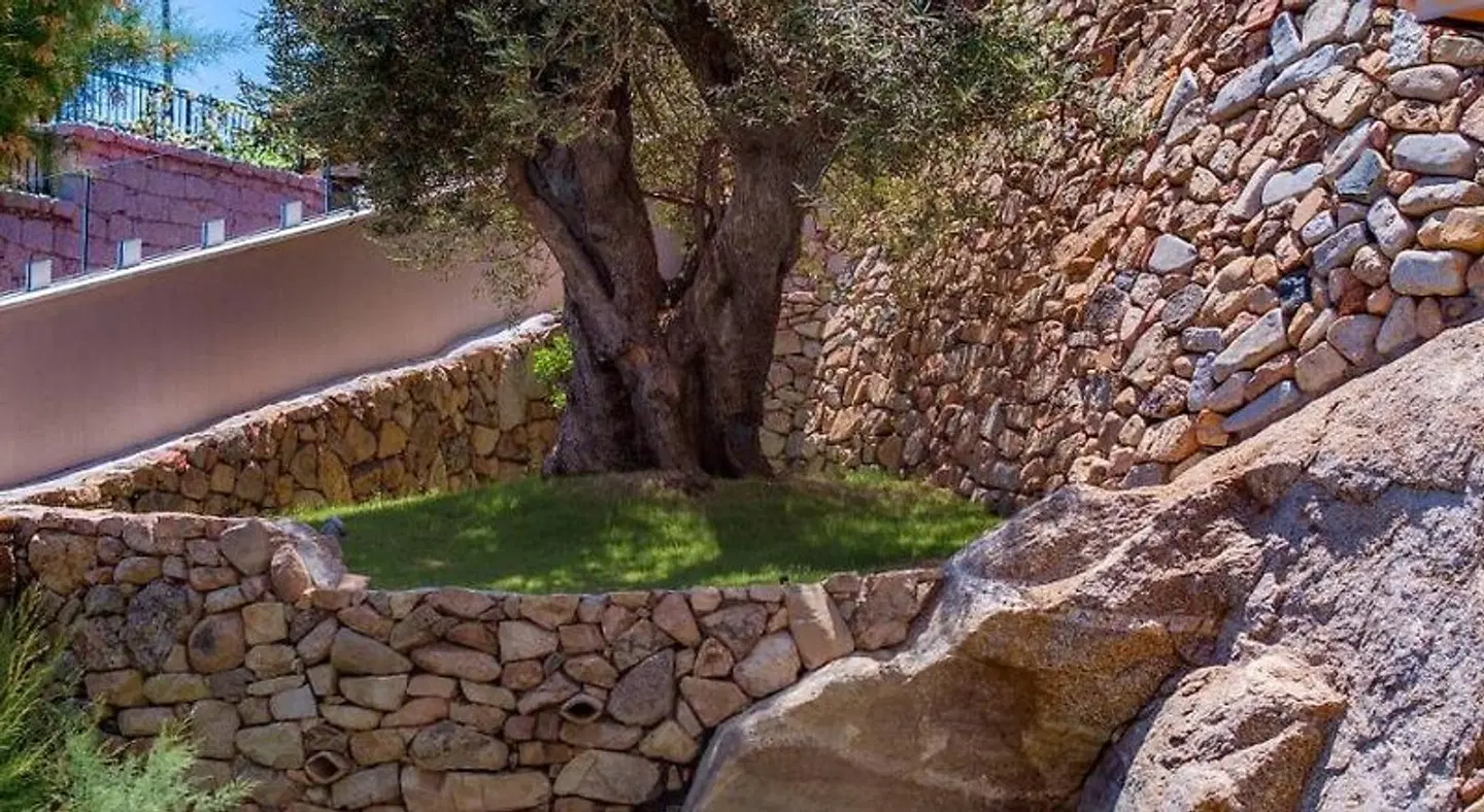 Domu Simius Hotel & Guest House LANDSCAPE