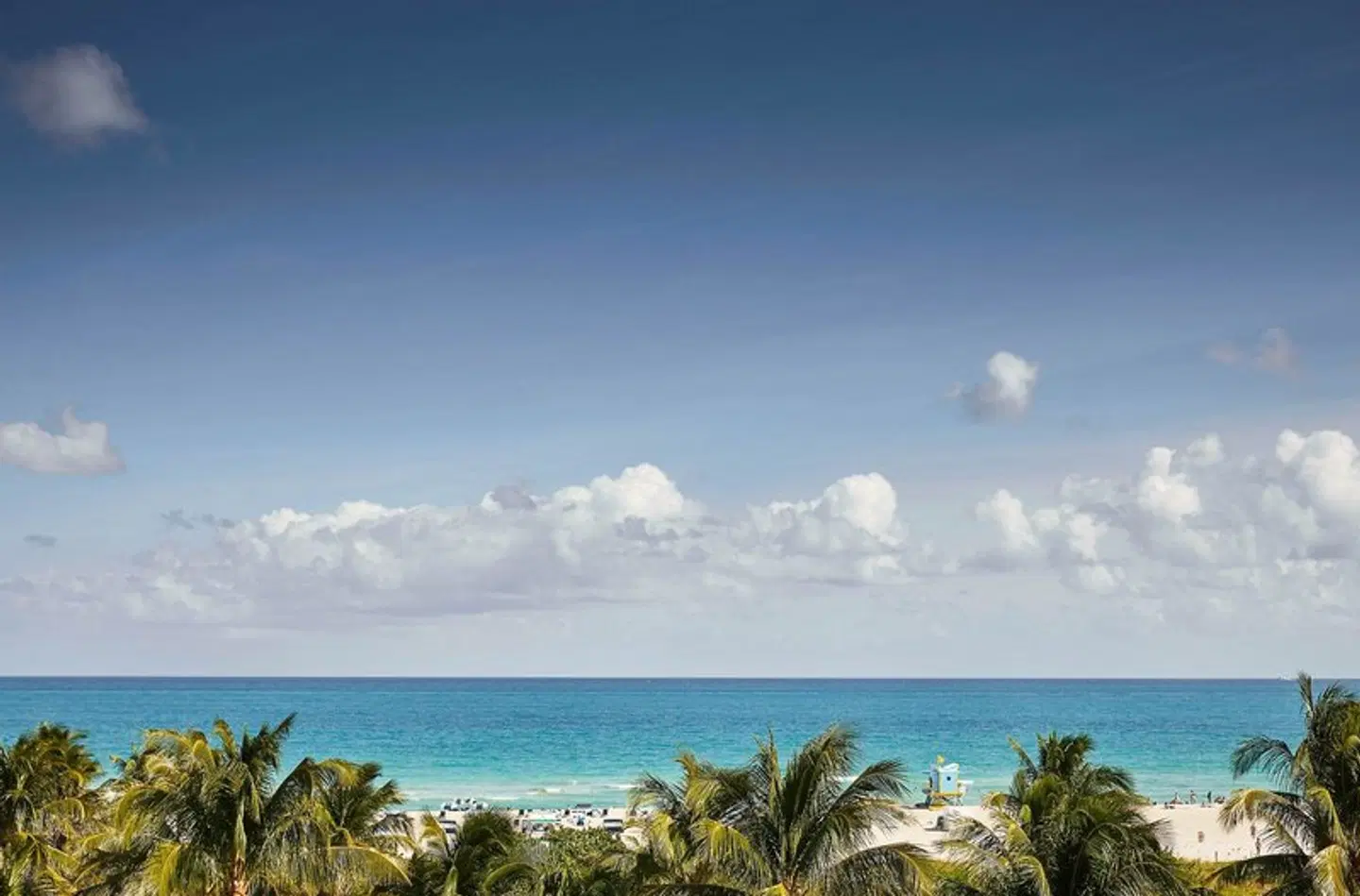 The Betsy Hotel, South Beach OUTDOOR_POOL