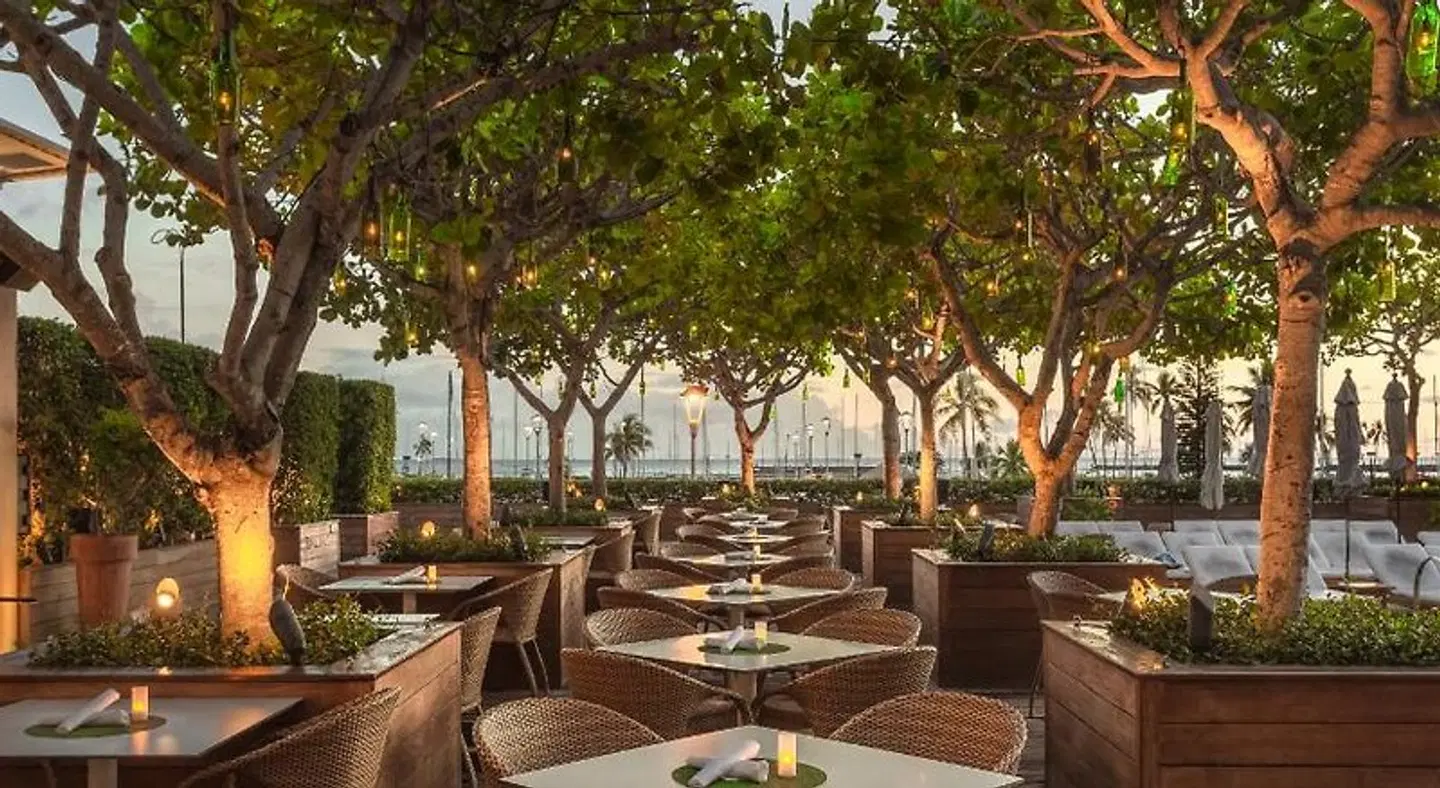 The Modern Honolulu Terrasse