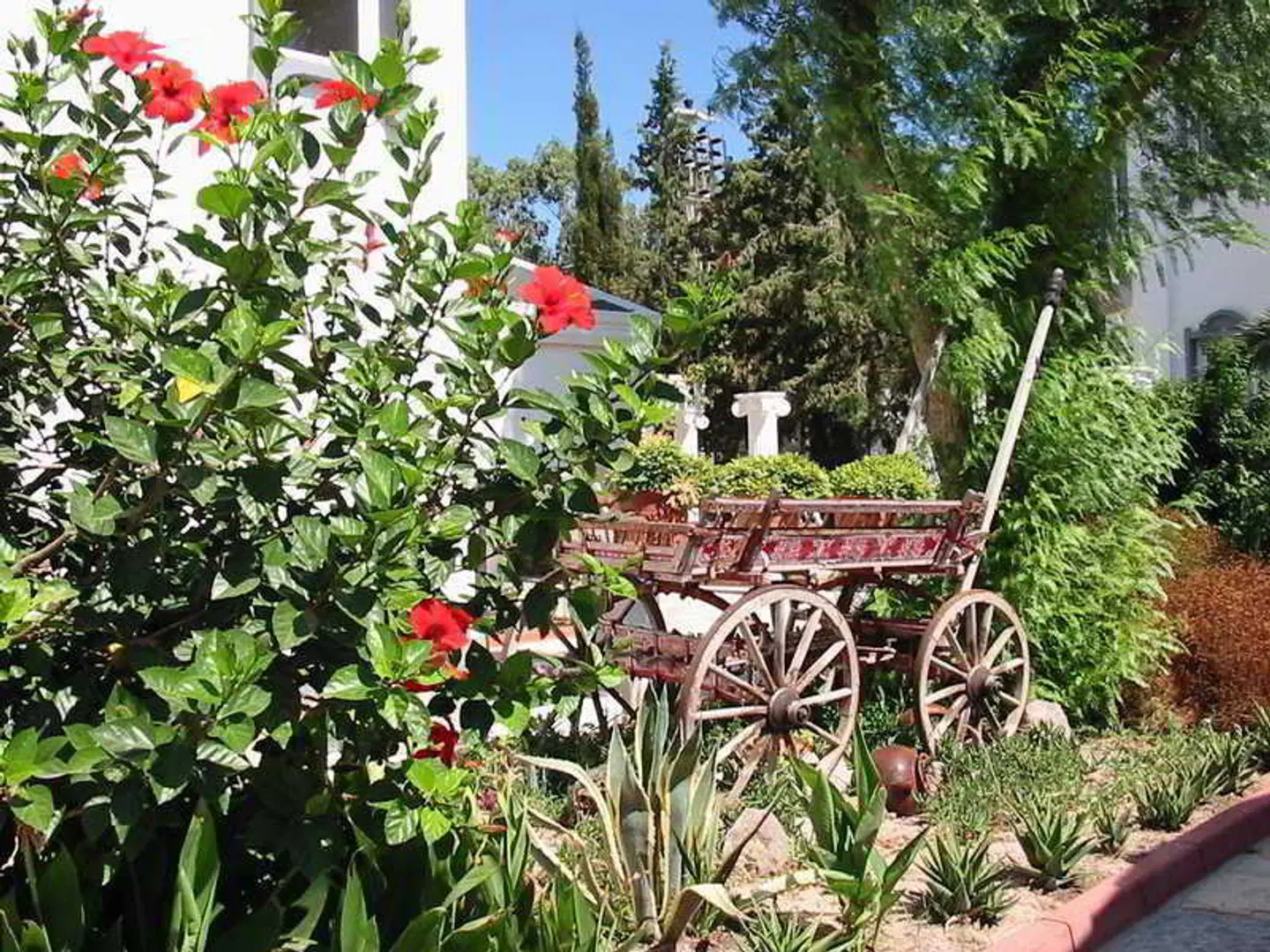 Siesta Beach Aparts & Studios LANDSCAPE