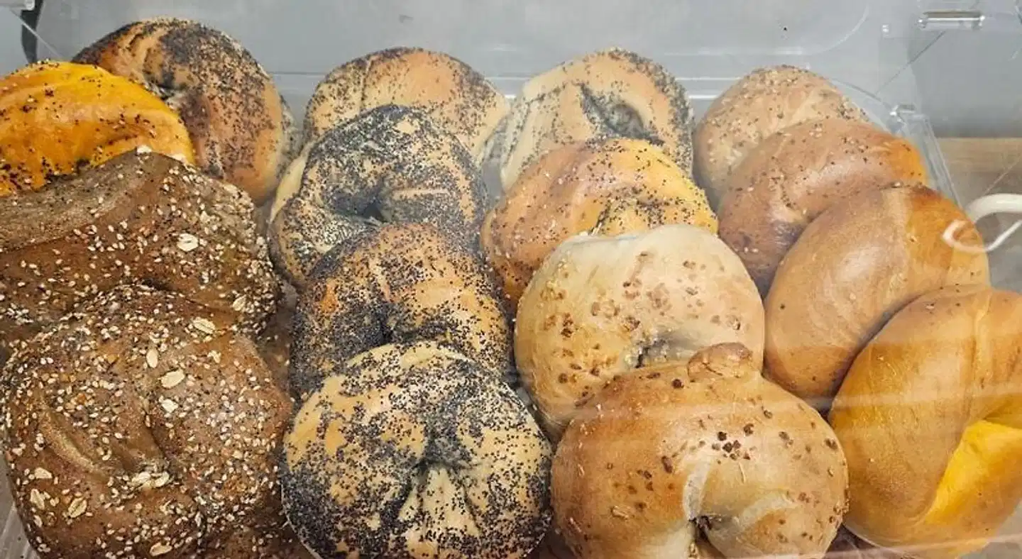 The Baltic Hotel Tiere