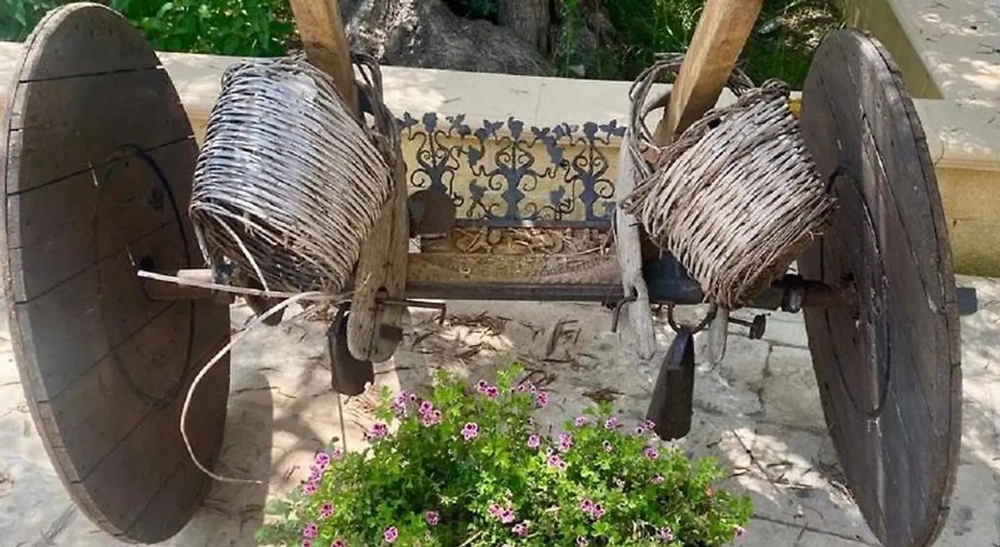 B&B Le Balate Tiere