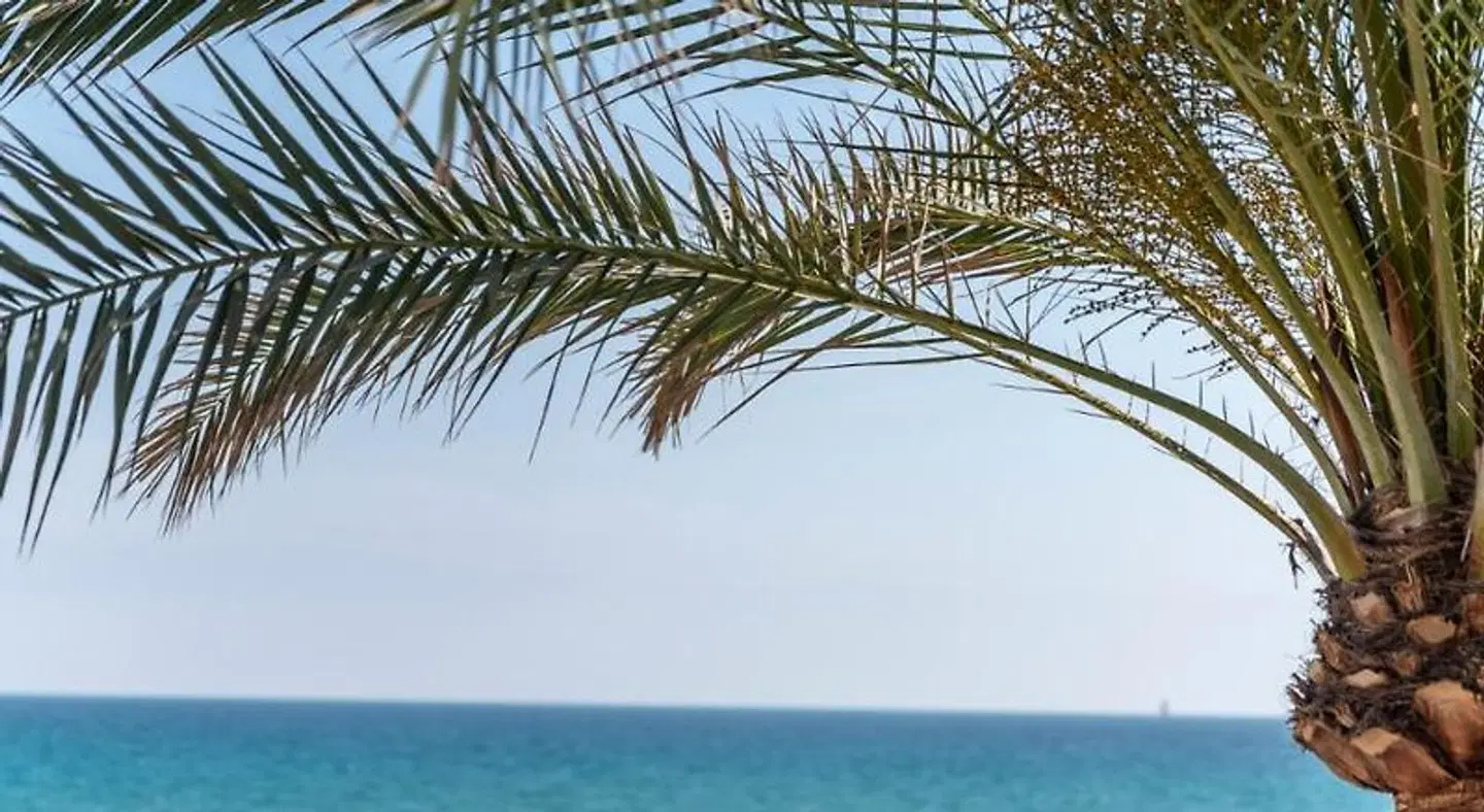 Apartaments Delfin LANDSCAPE