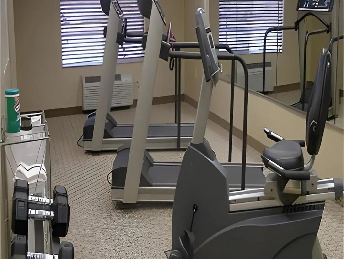 Holiday Inn Express & Suites Lacey - Olympia by IHG SPORTS_AND_LEISURE