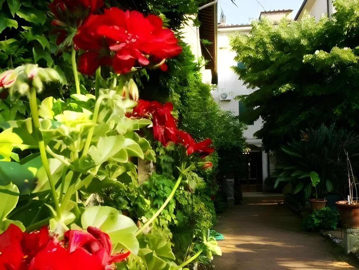 Albergo Stella Garten