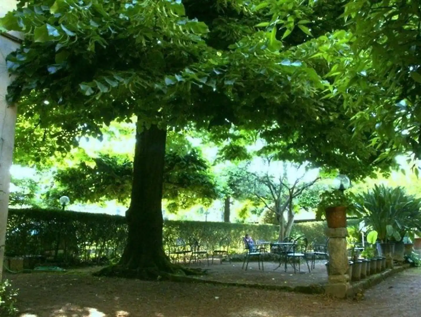 Albergo Stella Garten