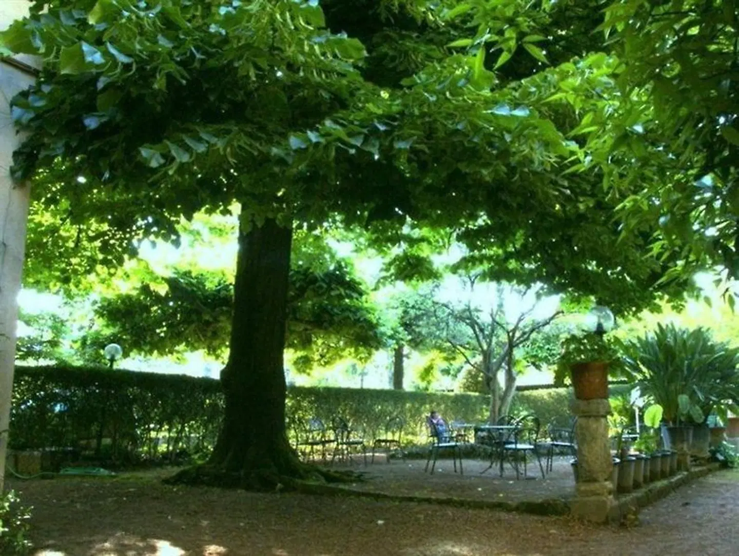 Albergo Stella Garten