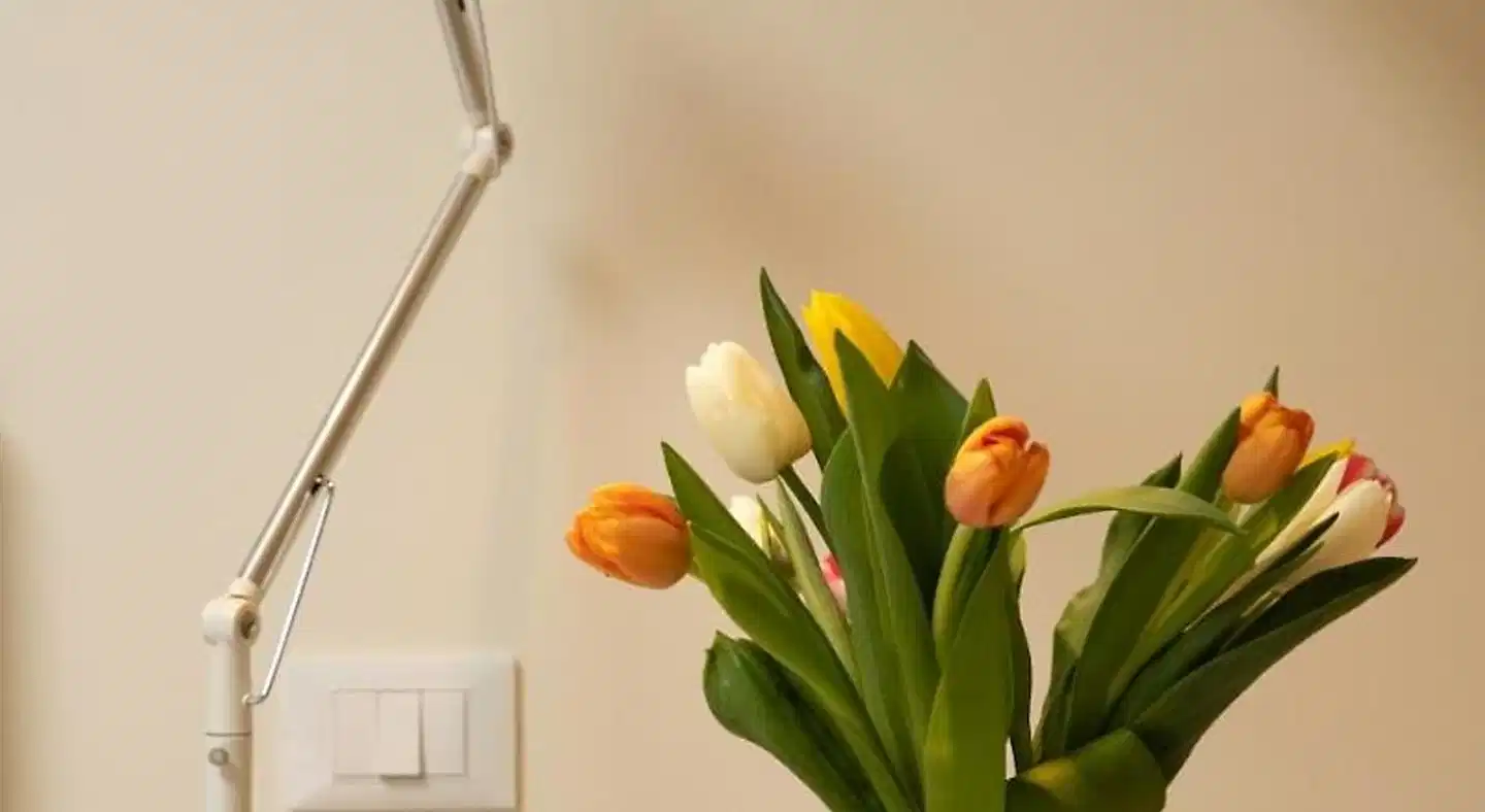 B&B Cubbaita Landschaft