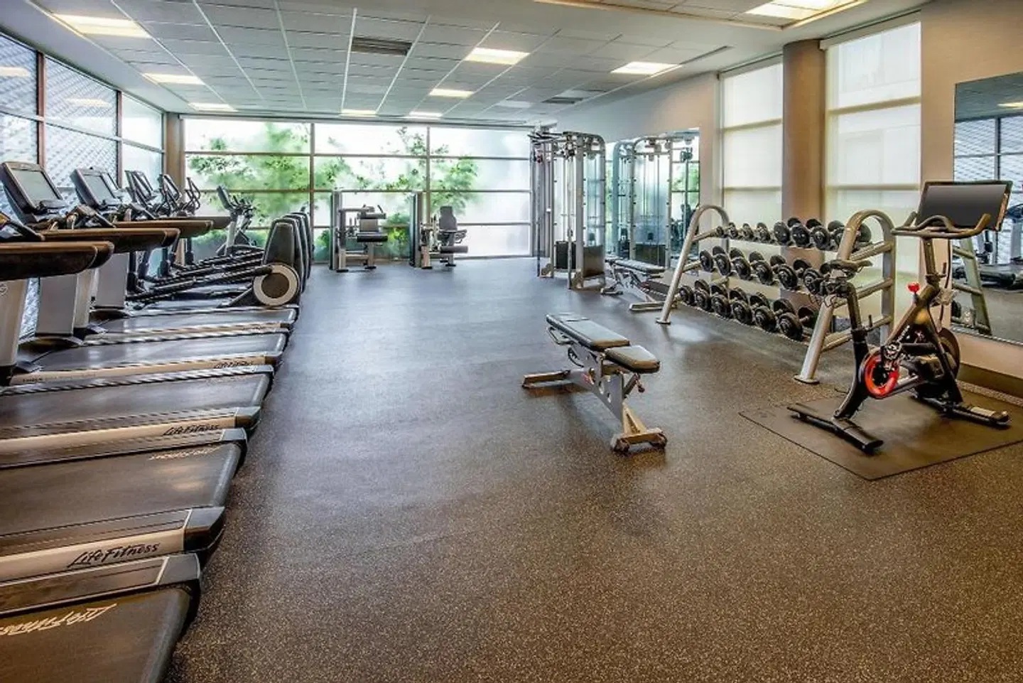 Delta Hotels by Marriott Chesapeake Norfolk SPORTS_AND_LEISURE