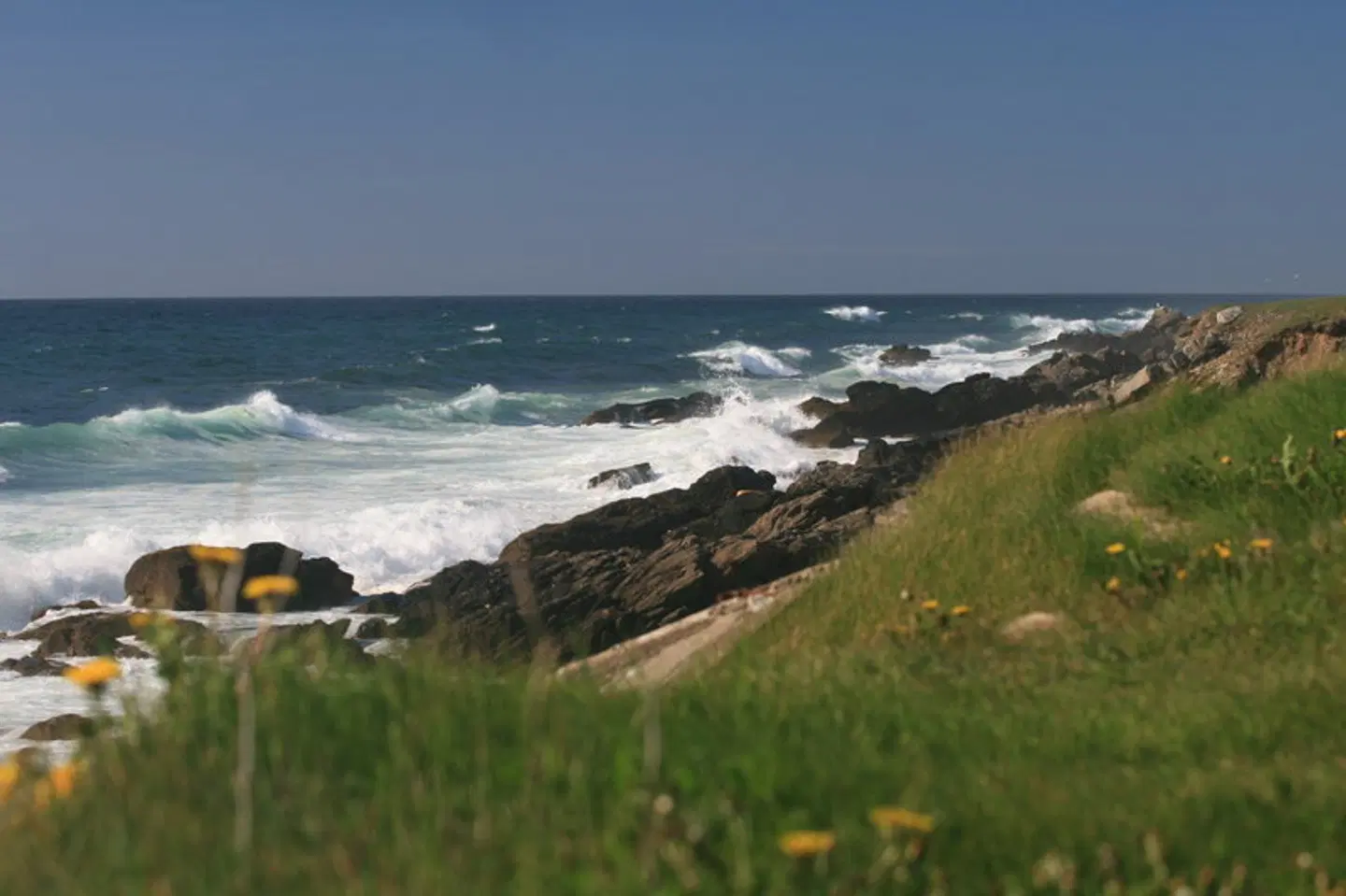 Cape Anguille Lighthouse Inn LANDSCAPE