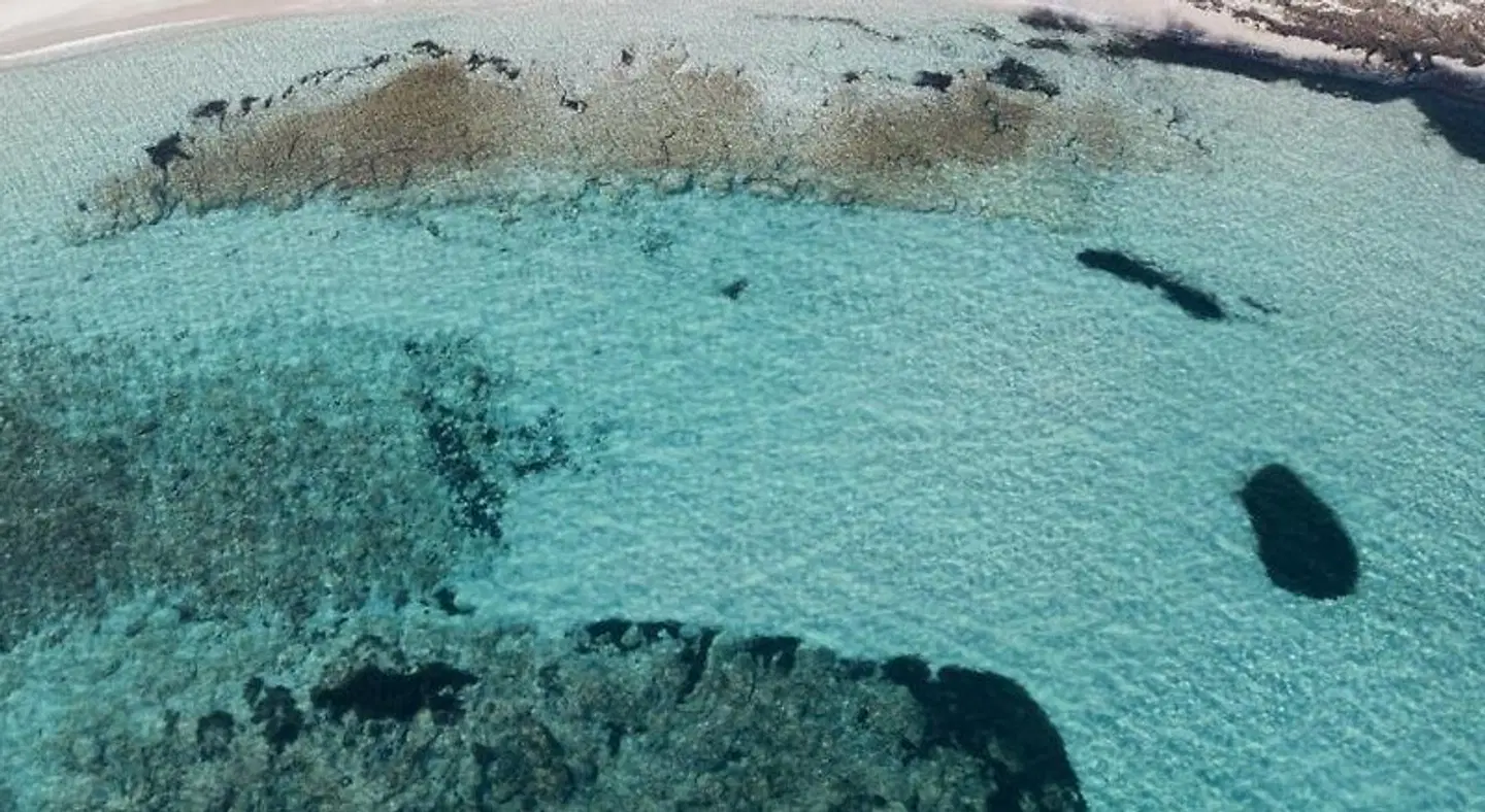 Sa Pedrera Suites & Spa LANDSCAPE