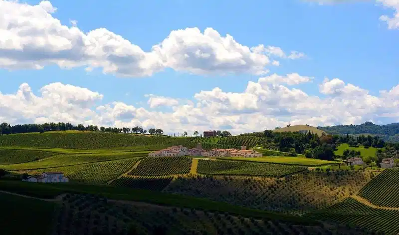 Borgo Condé Wine Resort – Hotelfoto