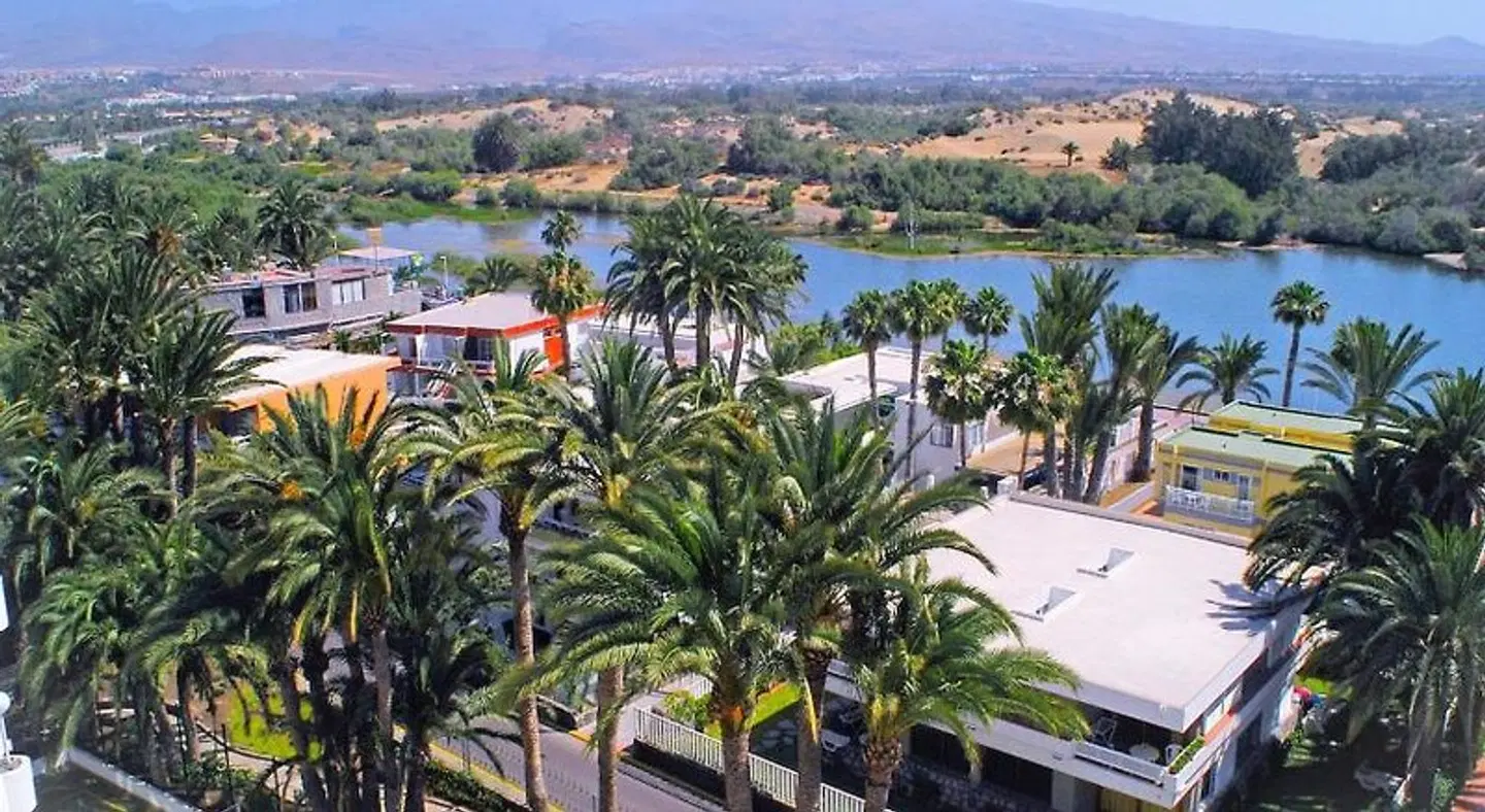 Apartamentos Cocoteros Terrasse