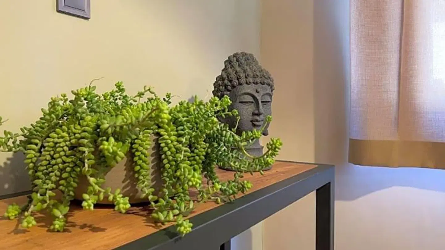 Kale Beach Hotel Garten