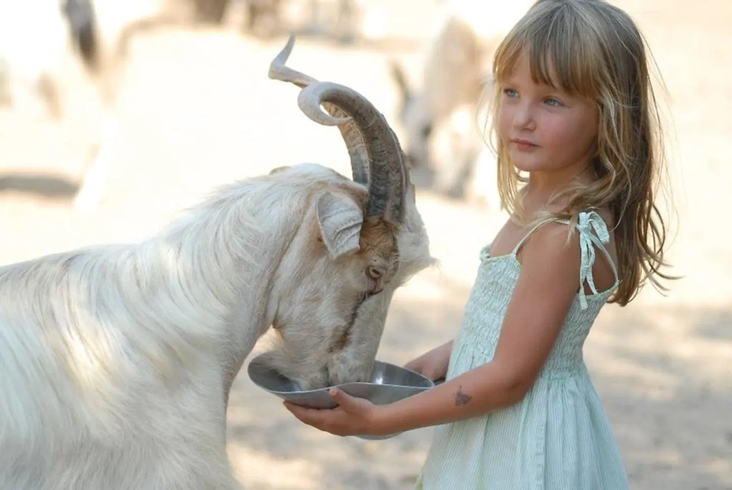 Arbatax Park Resort - Ville del Parco Tiere