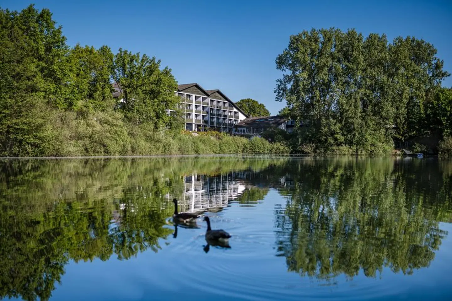 Best Western Premier  Seehotel Krautkrämer LANDSCAPE