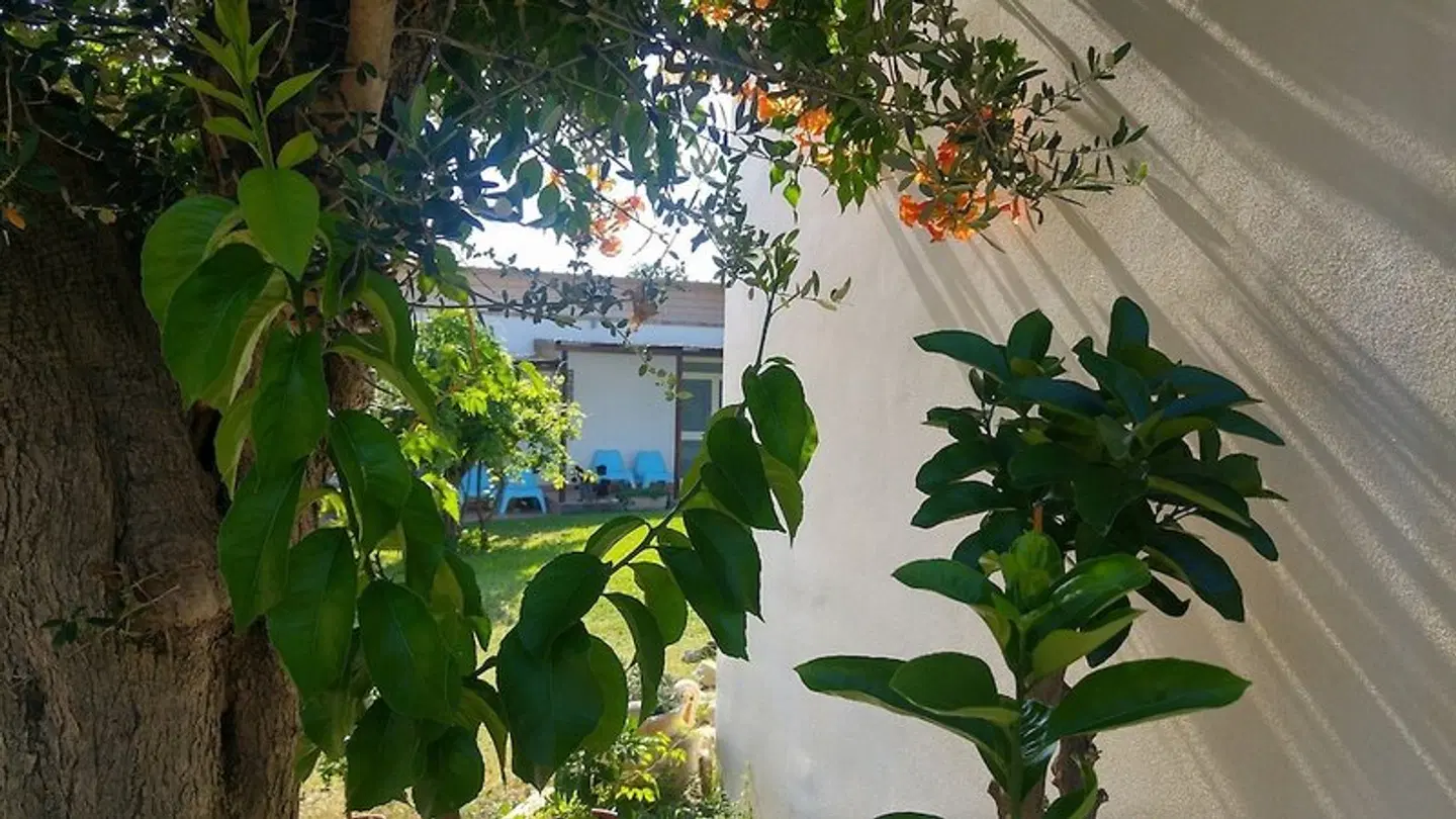 Il Giardino fra gli Ulivi EXTERIOR