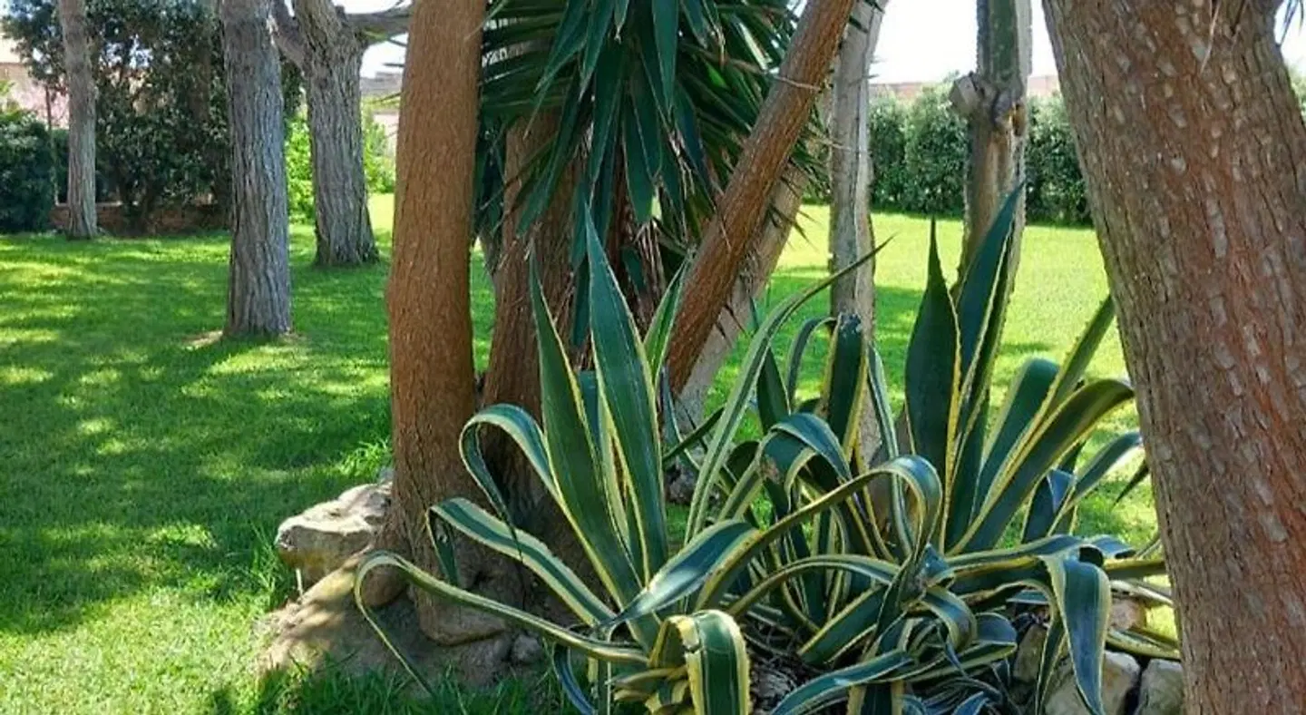 Blu Vacanze Residence Garten