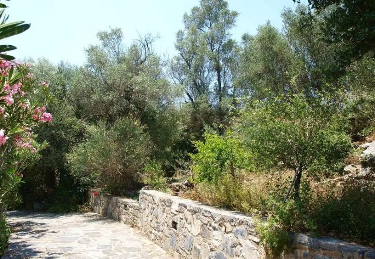 Aposperitis Villas Garten
