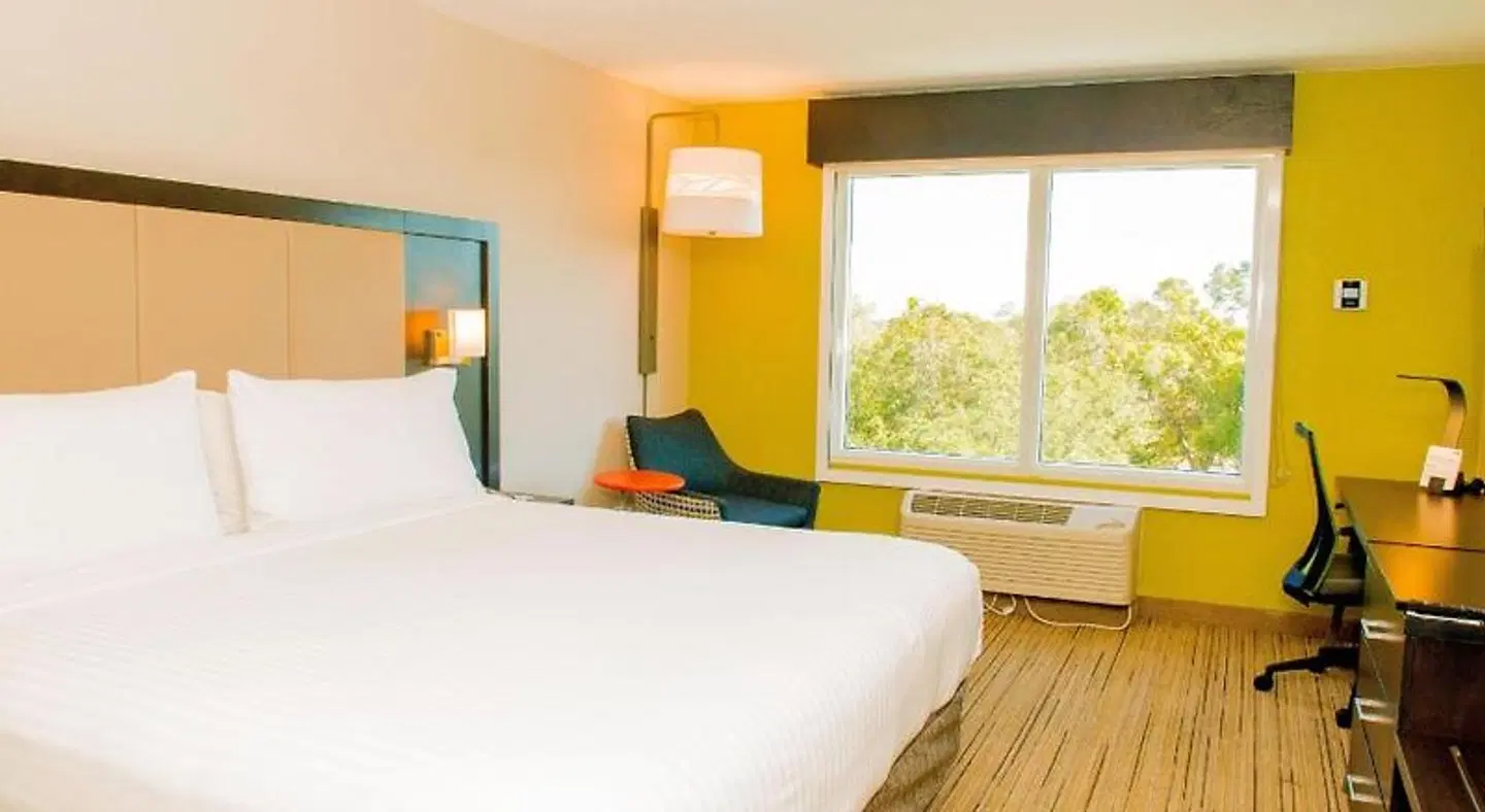 Holiday Inn Express & Suites St. Petersburg North (I-275) by IHG ROOM_EXAMPLE