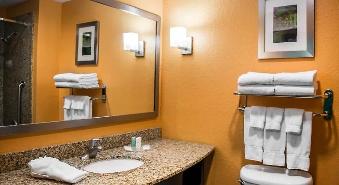 Hampton Inn by Hilton Tampa Fairgrounds Casino Badezimmer