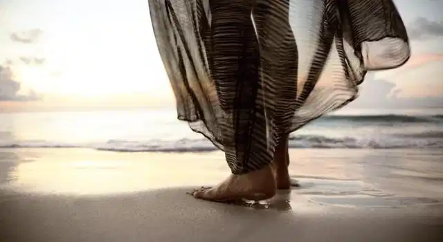 Berkeley Shore Hotel & Apts Tiere