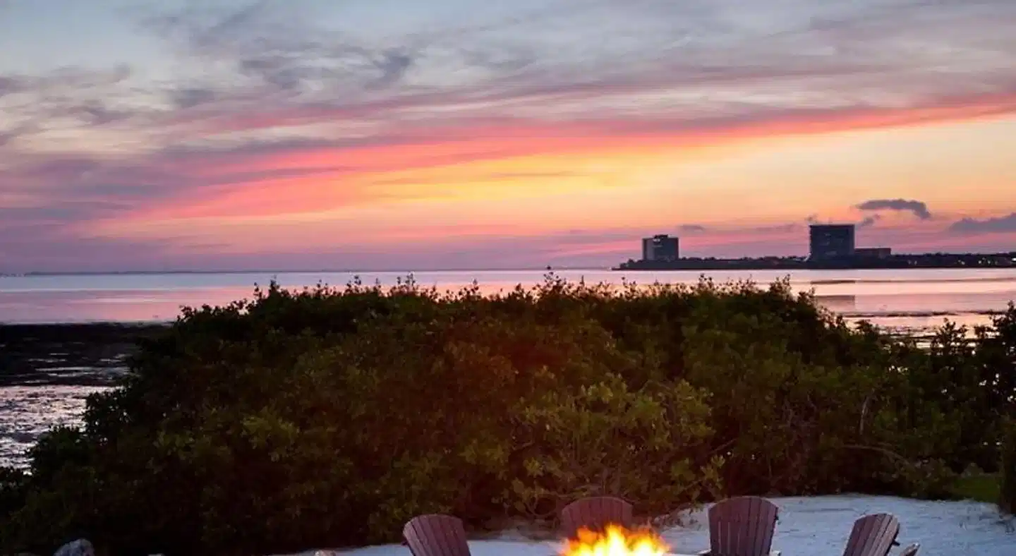 Grand Hyatt Tampa Bay Landschaft