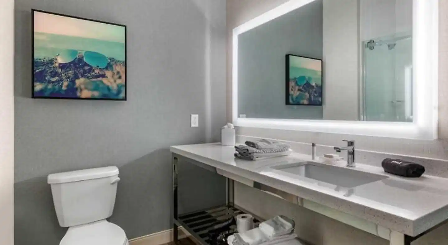 Cambria Hotel Orlando Airport Badezimmer