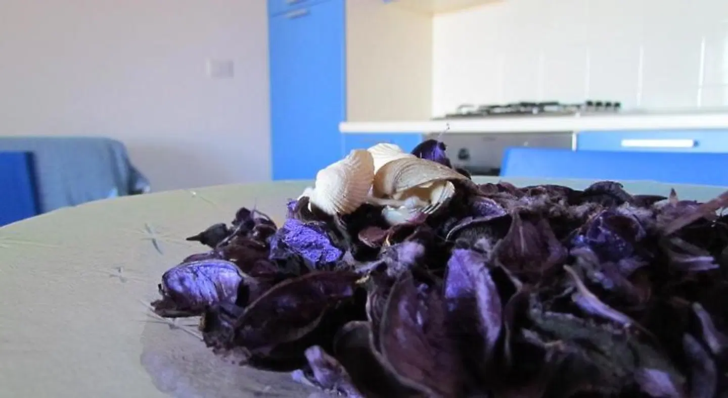 Residence Zodiaco Tiere