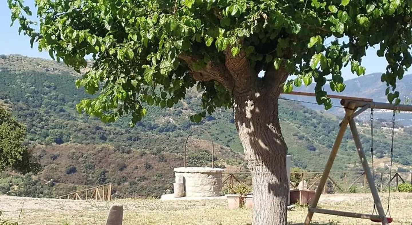 Mama Lina LANDSCAPE