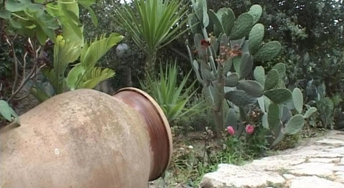 Villa Tasca Garten