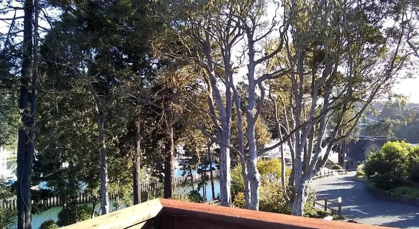 Noyo Harbor Inn Restaurant and Tavern LANDSCAPE