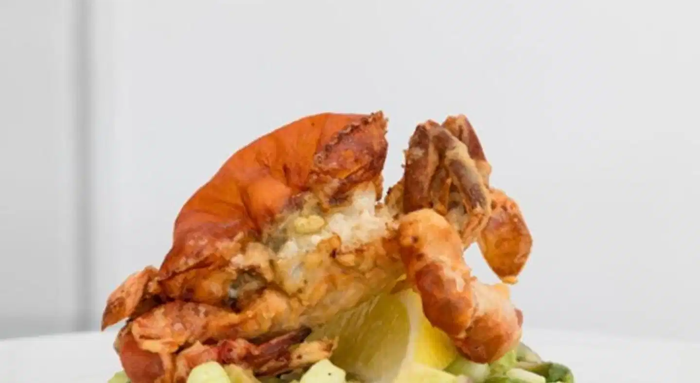 MiM Ibiza Boutique & Spa Tiere