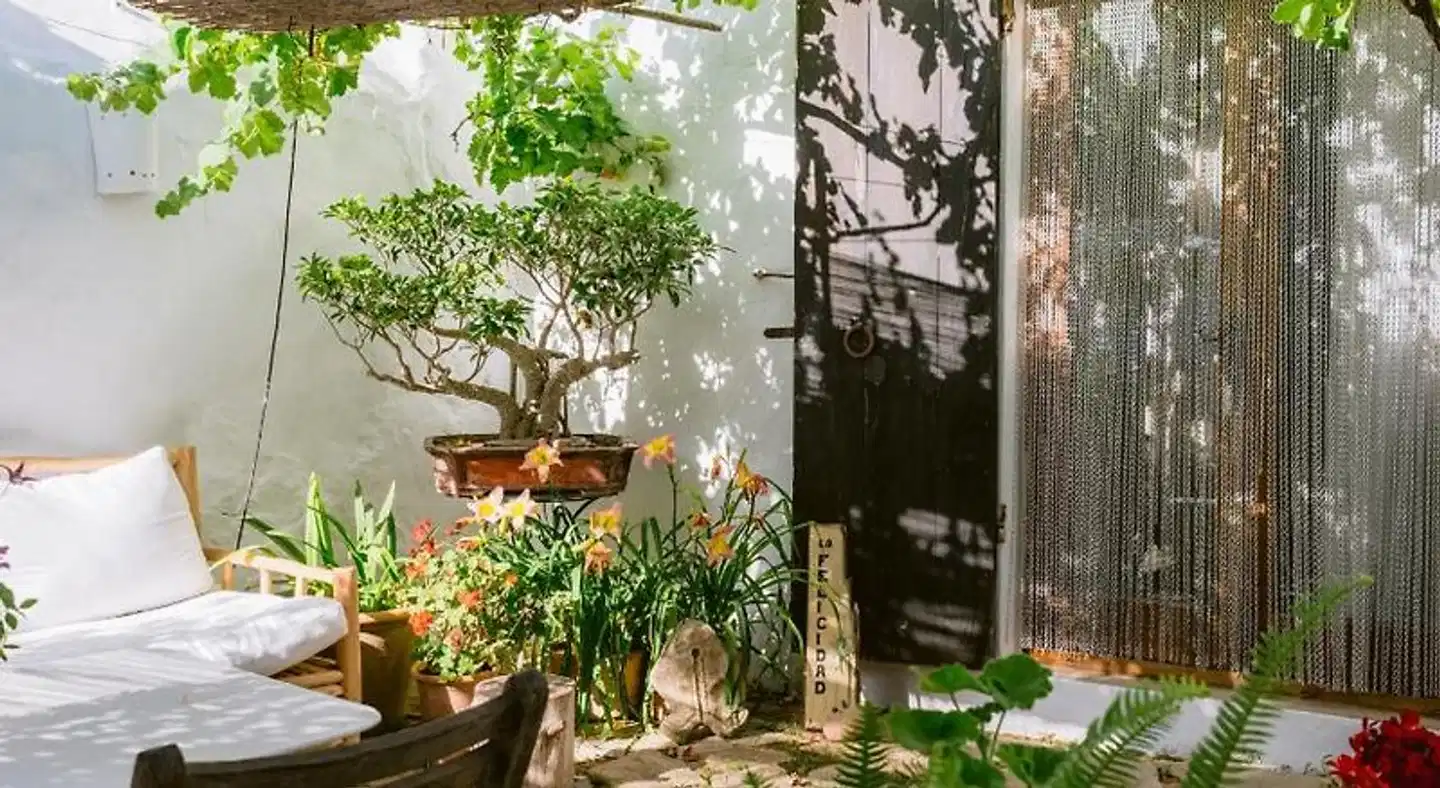 Rural Can Quince de Balafia Ibiza Garten