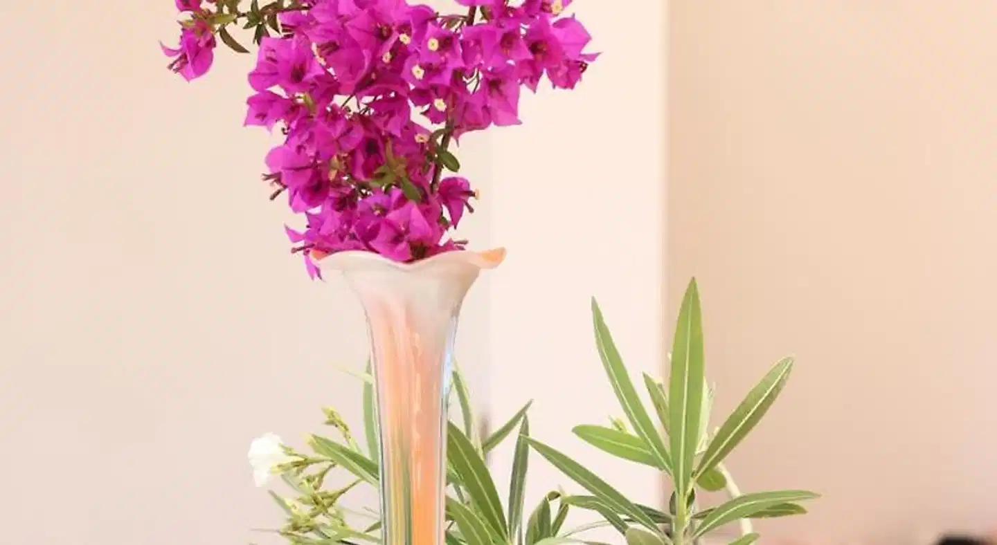 Hotel Flamingo Ibiza Wellness