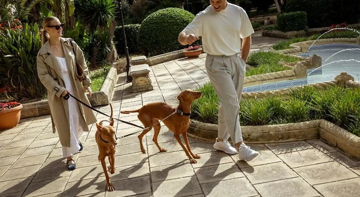 Corinthia Palace & Spa Tiere