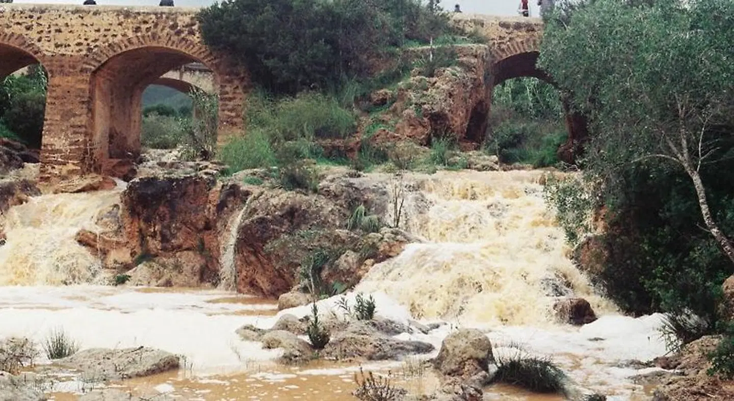 Mayol Hostal LANDSCAPE