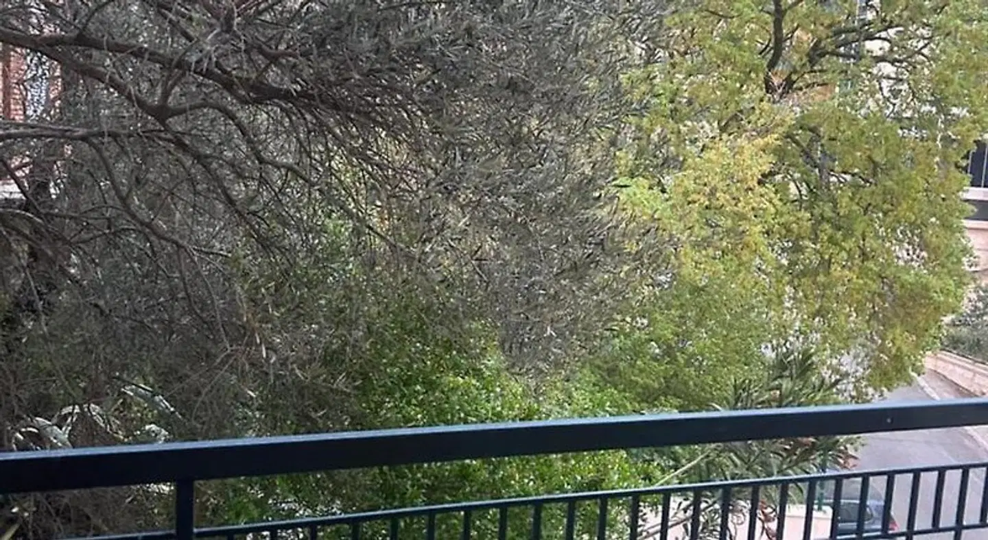 Hotel Villa Katarina LANDSCAPE