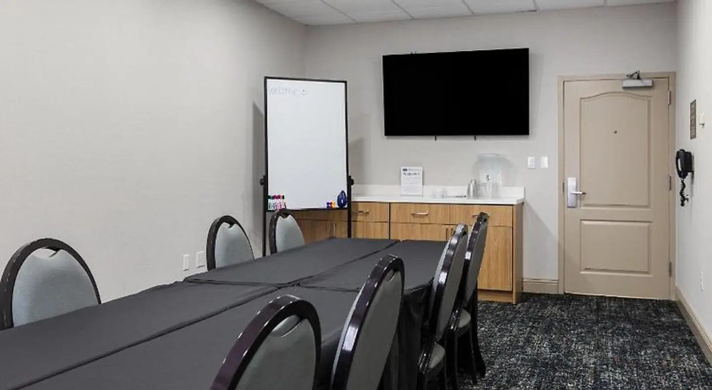 Hampton Inn & Suites Tampa-Wesley Chapel Konferenz