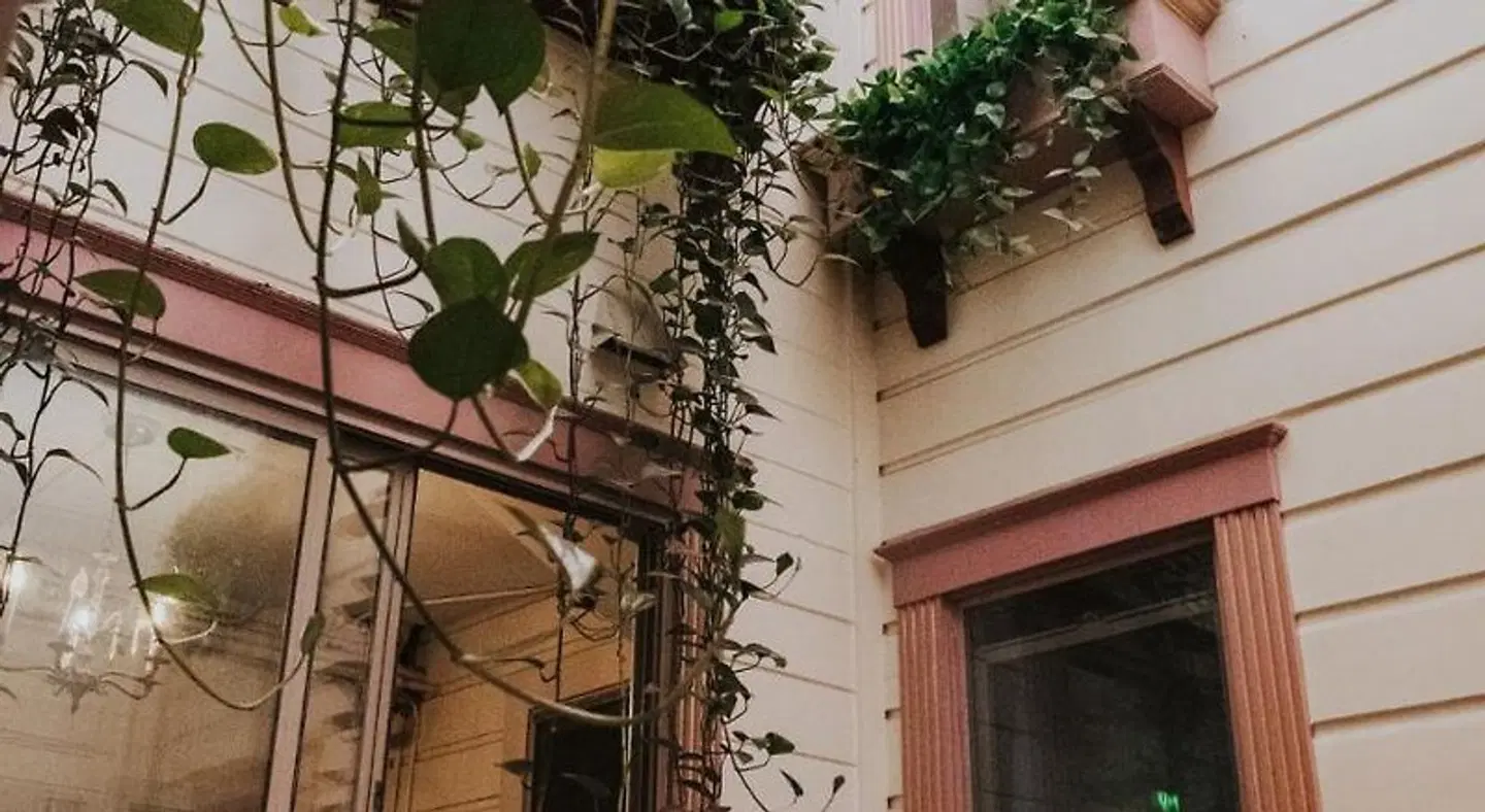 Green Tortoise Hostel Terrasse