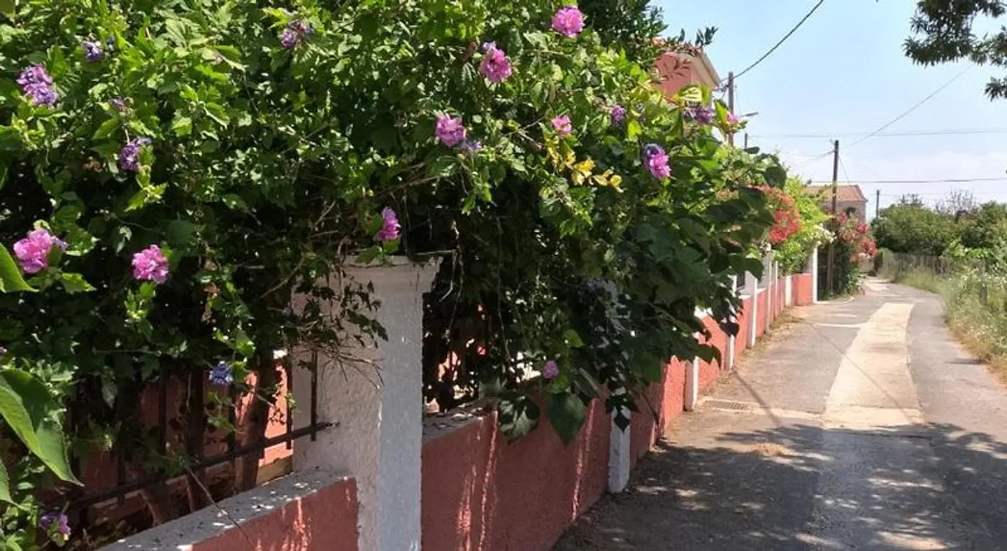 Antigoni's Apartments EXTERIOR