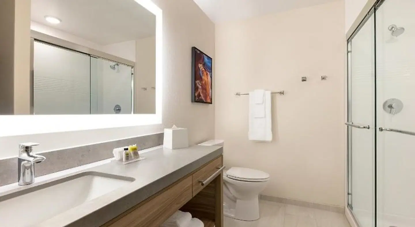 Holiday Inn Express & Suites Greenwood Village - DTC by IHG Badezimmer