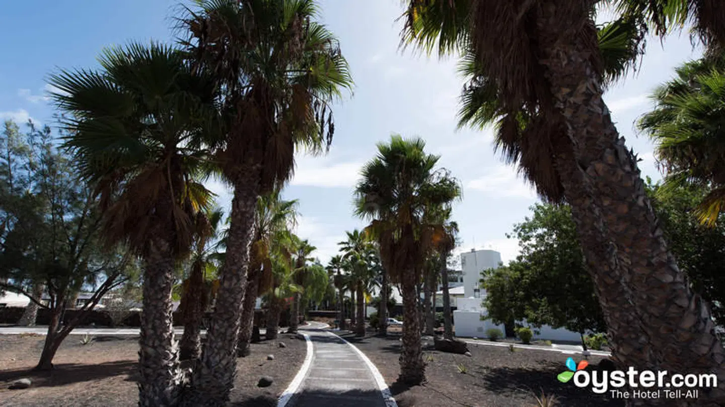 Palmeras Garden EXTERIOR