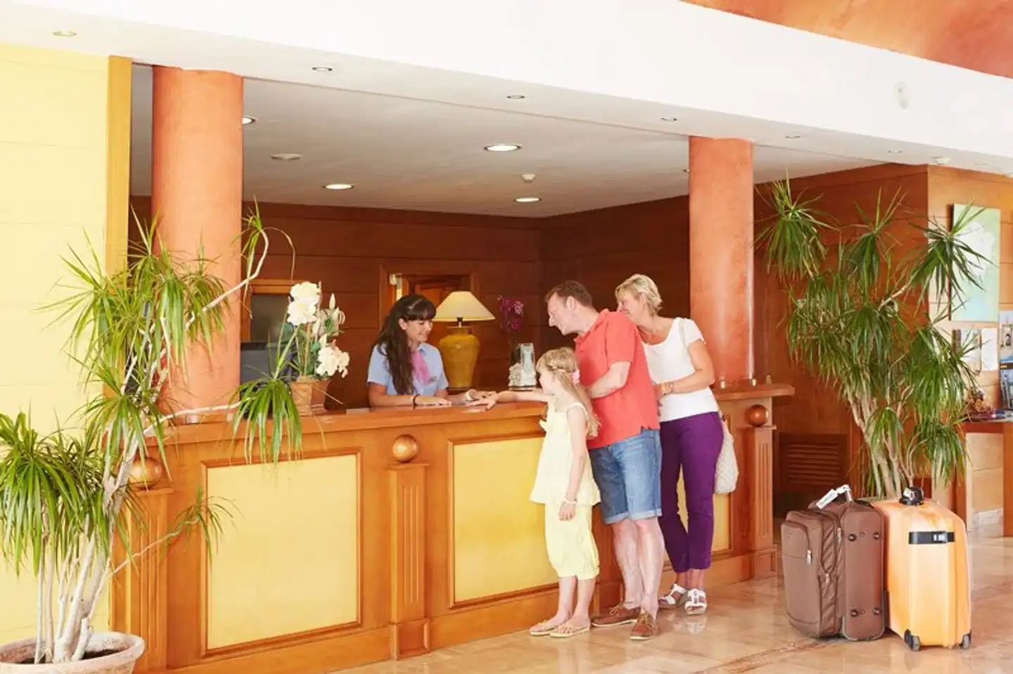 Comitas Isla del Aire Lobby