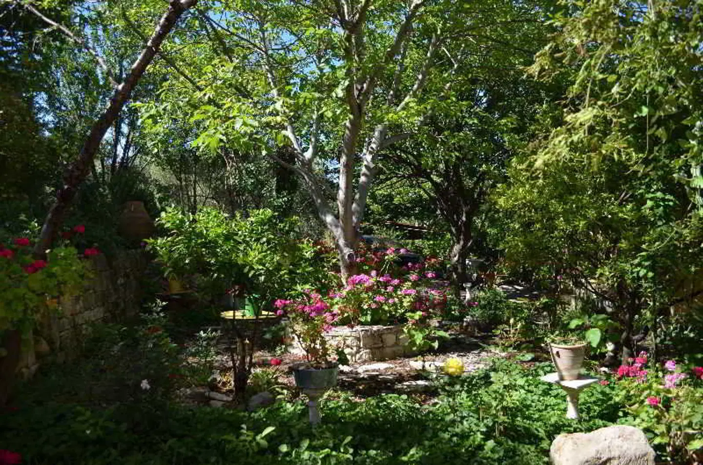 Viglatoras Traditional Apartments EXTERIOR