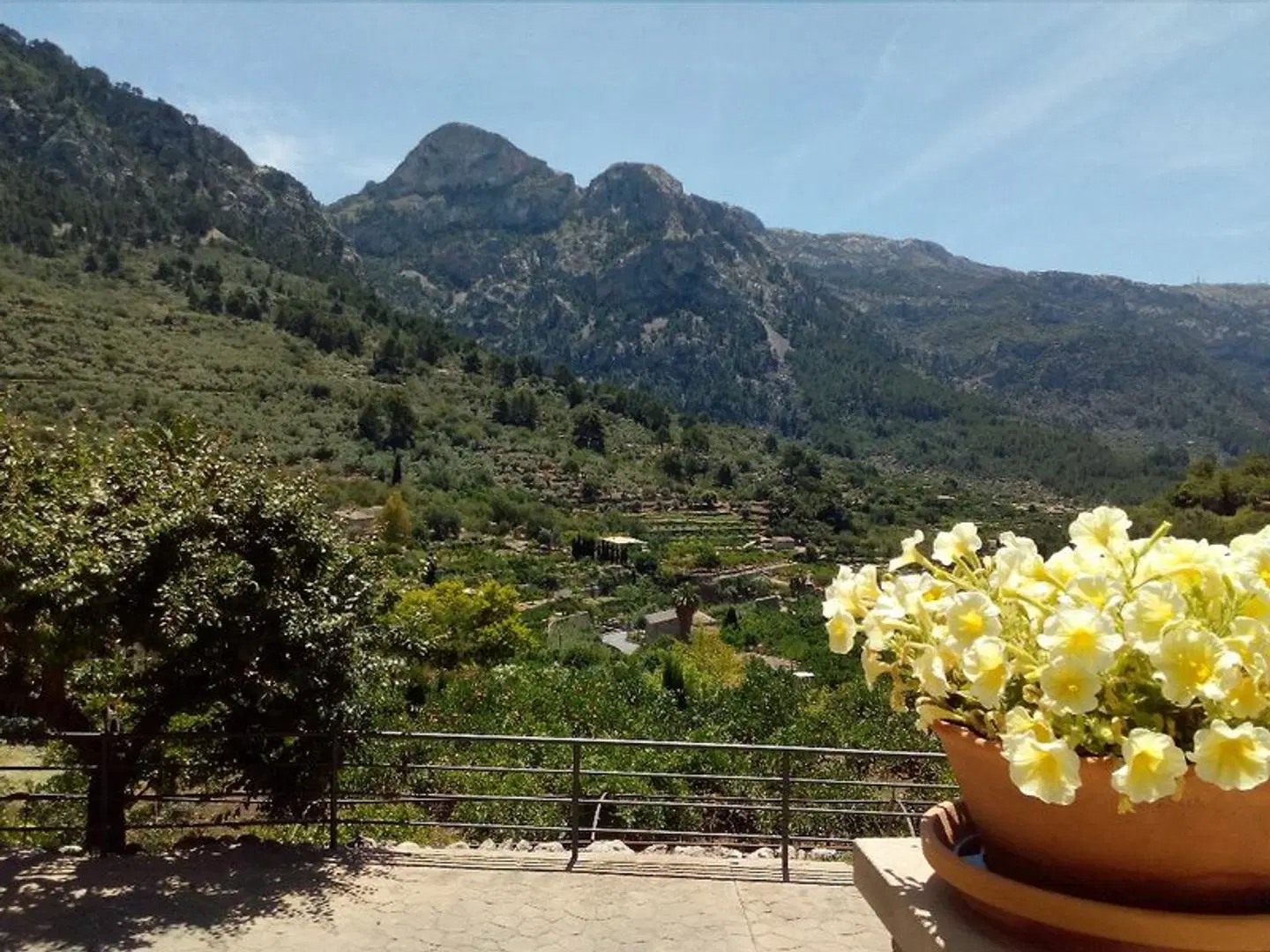 Rural Sa Tanqueta de Fornalutx LANDSCAPE