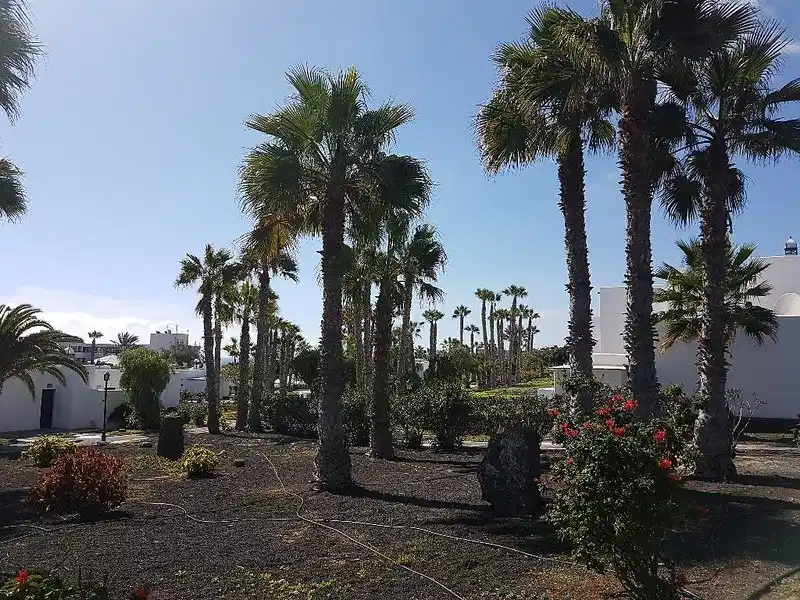 Palmeras Garden – Hotelfoto