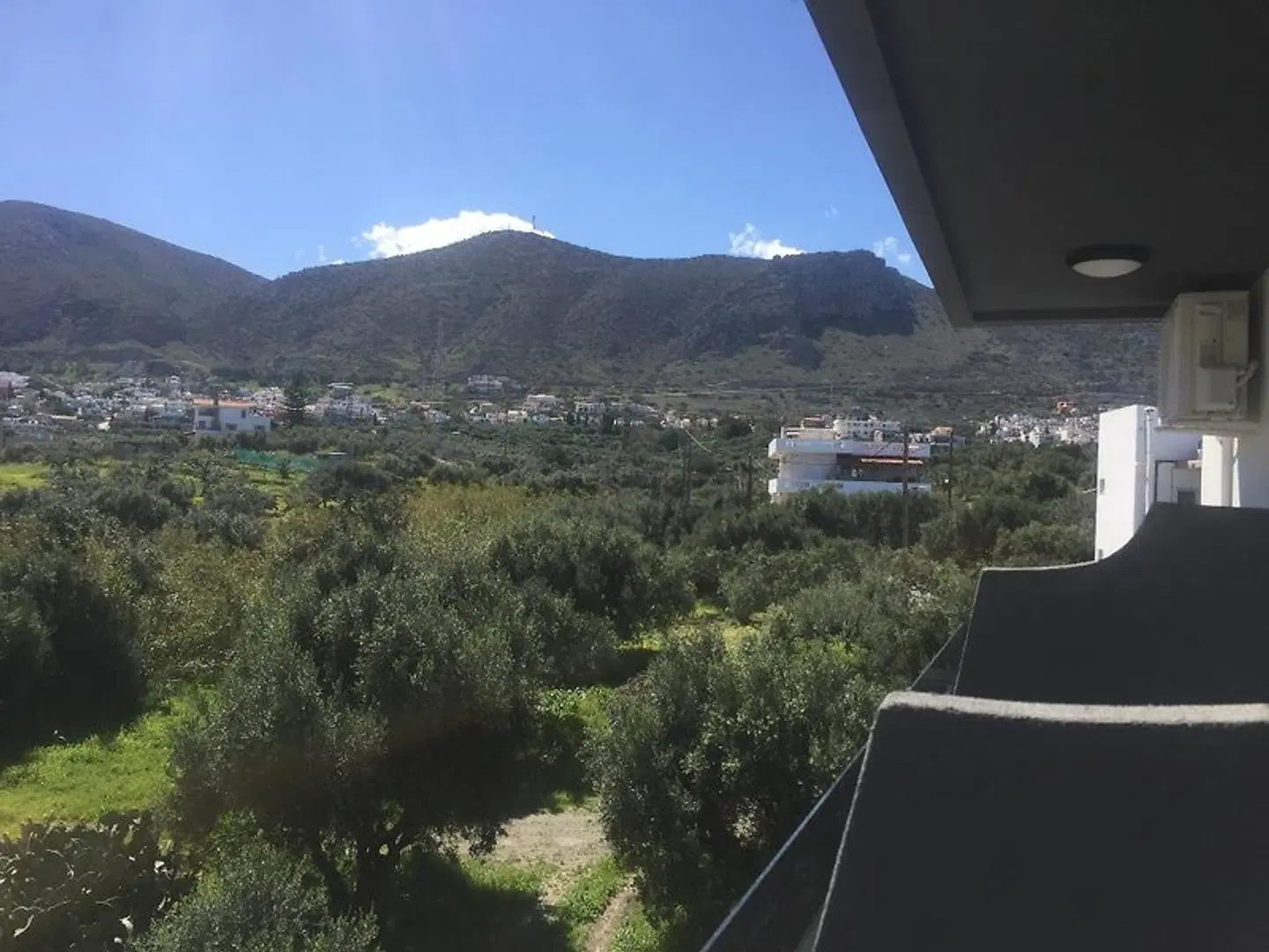 City Pearl LANDSCAPE