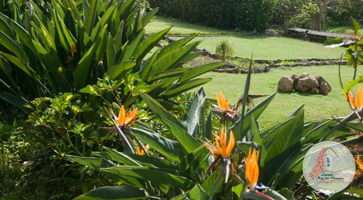Apartamentos Quinta Mae dos Homens Garten