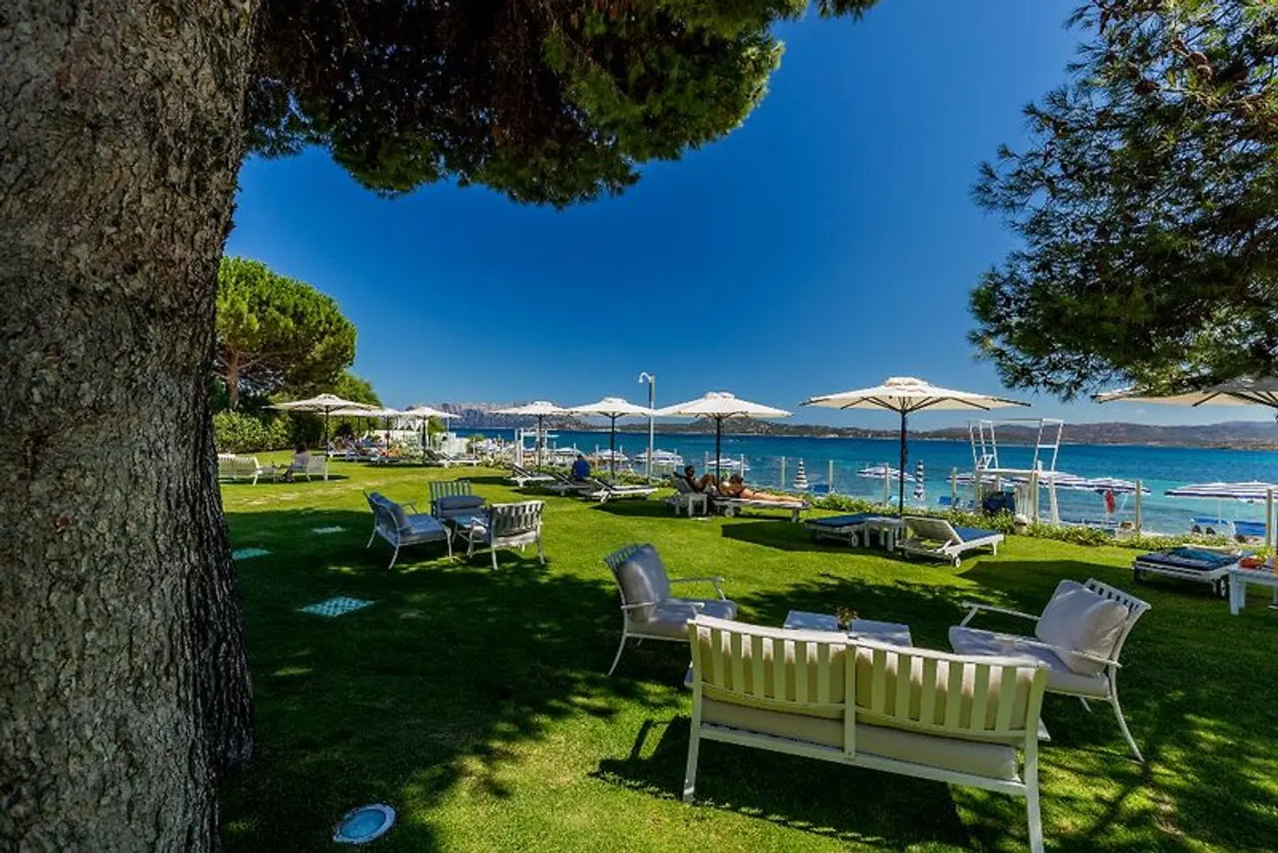 The Pelican Beach Resort & SPA - Adults Only Garten